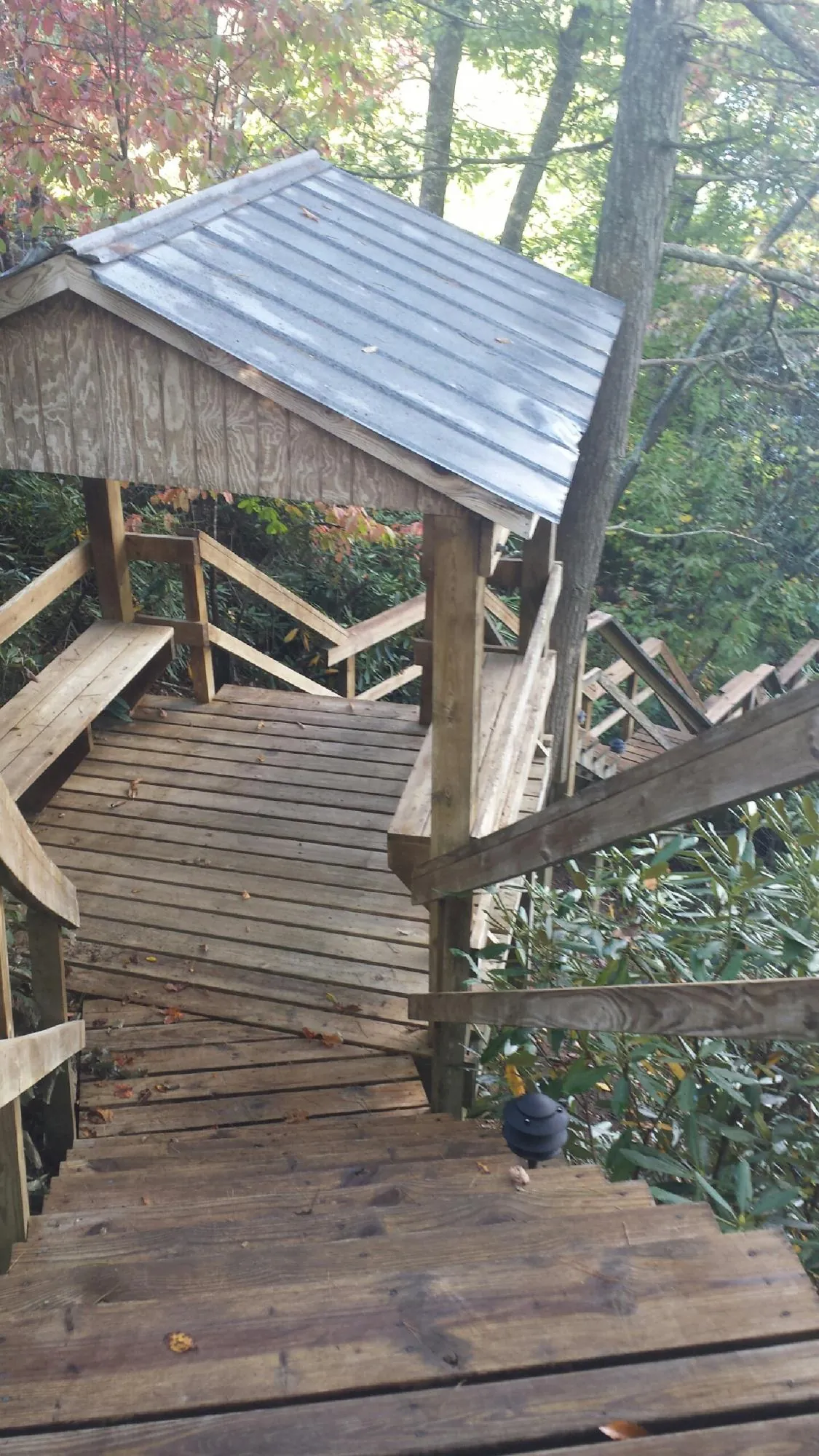 Metal roofed shelter over wooden steps on a wooded walkway — Skylight Repair & Installation work by our crew in Salkum