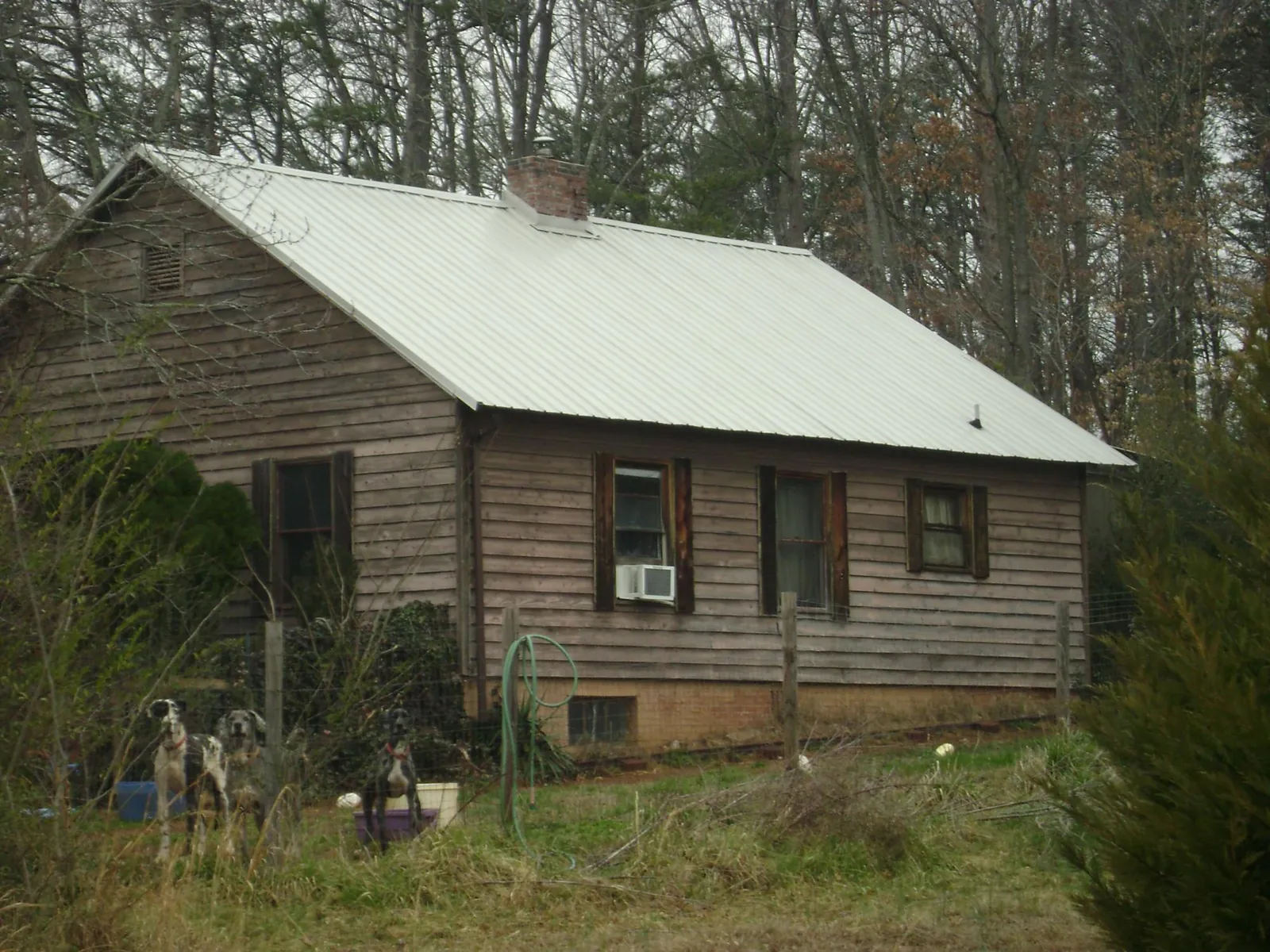 White metal roof on an old wood sided farmhouse, from a Metal Roof Installation job in Salkum